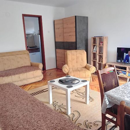 Apartmán Apartman Nedeljkovic Vrnjačka Banja Exteriér fotografie