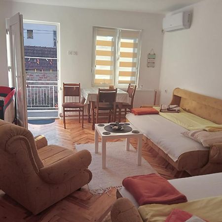 Apartmán Apartman Nedeljkovic Vrnjačka Banja Exteriér fotografie